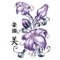 Tatouage éphémère - Plaque de 4 tattoos - TAFantasy 3 Tatouage éphémère - Plaque de 4 tattoos - TAFantasy 3