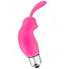 Grossiste dropshipping Stimulateur de clitoris vibrant rose rabbit