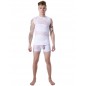 T-shirt débardeur blanc col rond opaque et transparent avec fines rayures - LM803-77WHT