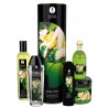 Grossiste Shunga dropshipping Coffret bio plaisir massage lubrifiant sels de mer