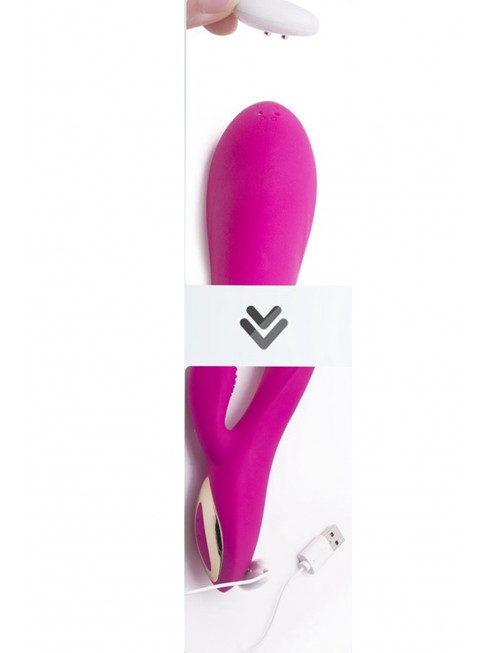 Grossiste sextoys dropshipping Vibromasseur rabbit rose ergot à picots 10 programmes USB