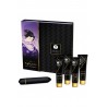 Grossiste Shunga Coffret de Geisha Coquine