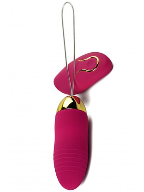 Oeuf vibrant fashion 10 vitesses USB