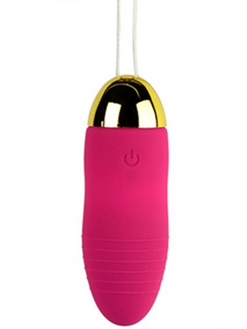 Oeuf vibrant fashion 10 vitesses USB