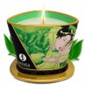 Grossiste dropshipping Shunga bougie massage thé vert