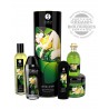 Grossiste Shunga dropshipping Coffret bio plaisir massage lubrifiant sels de mer