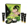 Grossiste Shunga dropshipping Coffret de Geisha Bio thé vert