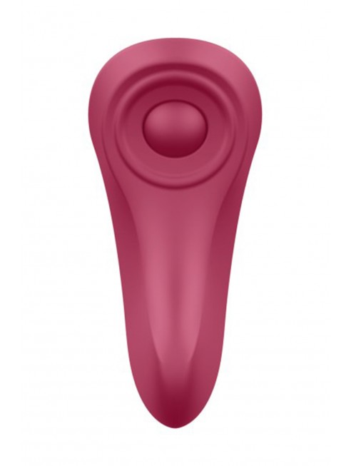 Stimulateur clitoridien Satisfyer Secret Panty - CC597252