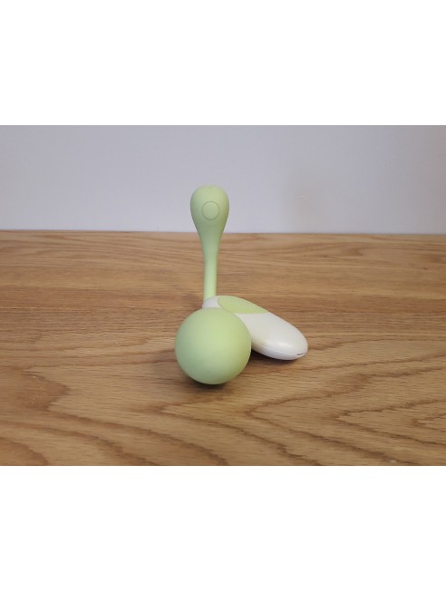 Bale de Geisha vibrante verte avec télécommande - TOD-074GRN