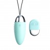 Oeuf  vibrant turquoise avec télécommande à piles  - TOD083TUR