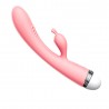 Vibromasseur Rabbit rose vintage 10 vitesse USB - TOZ053BPNK