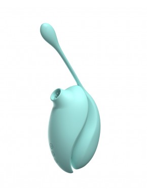 Vibromasseur à succion clitoridien avec son œuf vibrant à distance - 0-B0009TUR