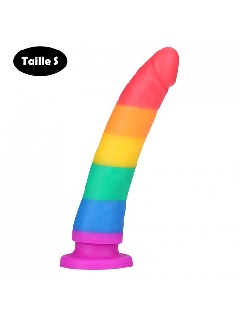 Gode ventouse multicolore taille S - DO-045-RAI-S