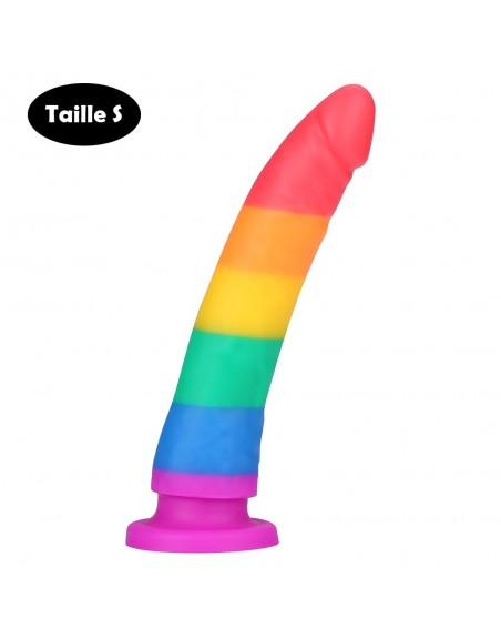 Gode ventouse multicolore taille S - DO-045-RAI-S