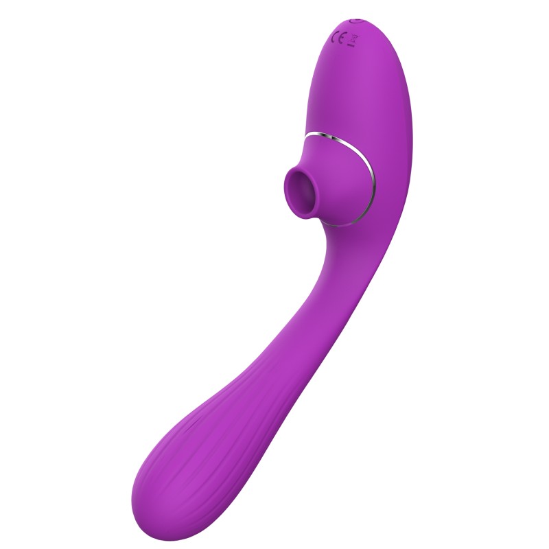 2 en 1 stimulateur de clitoris et vibromasseur point G USB violet flexible DINA - WS-NV017PUR