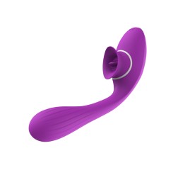 2 en 1  Stimulateur de clitoris avec langue et vibromasseur pour G USB flexible violet DISA - WS-NV025
