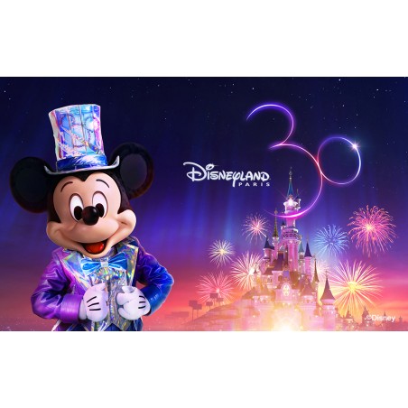 6000 POINTS CADEAU FIDELITE : 1 ENTREE LIBERTE 1 JOUR DISNEYLAND PARIS