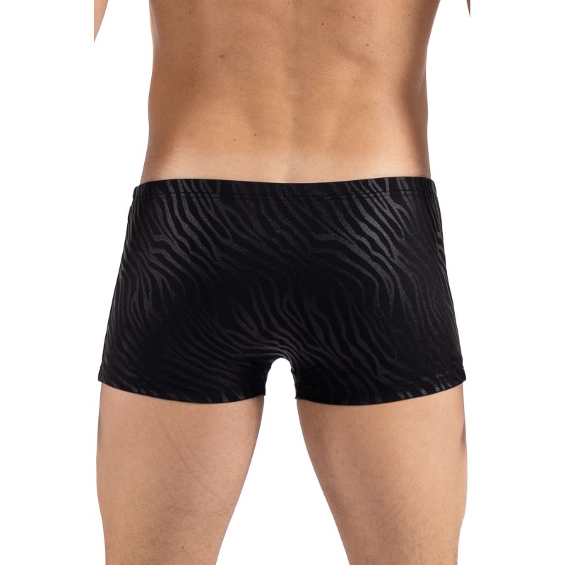 Boxer noir & gold Zebra - LM2403-67BLK