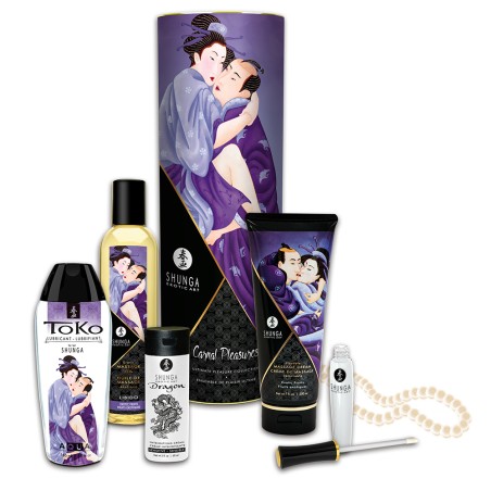 Coffret collection plaisirs charnels 5 produits Shunga + un collier de perles - CC0070