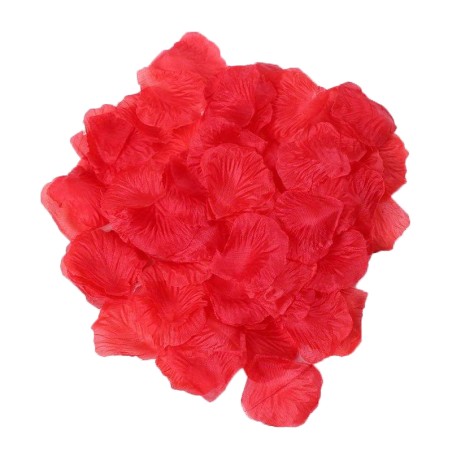 Pack de 100 Pétales de Rose - 100610RED