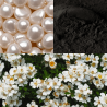 Coffret Regard  Relaxation – 100% Naturel